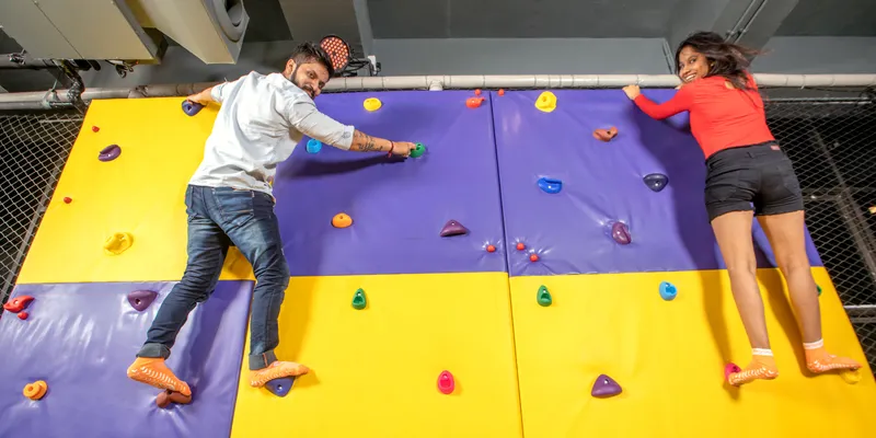 Spider Wall